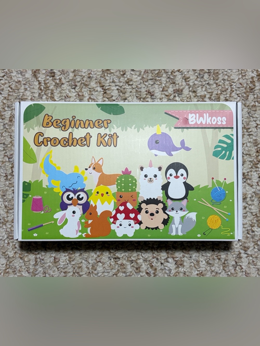 Beginner Crochet Kit for Kids